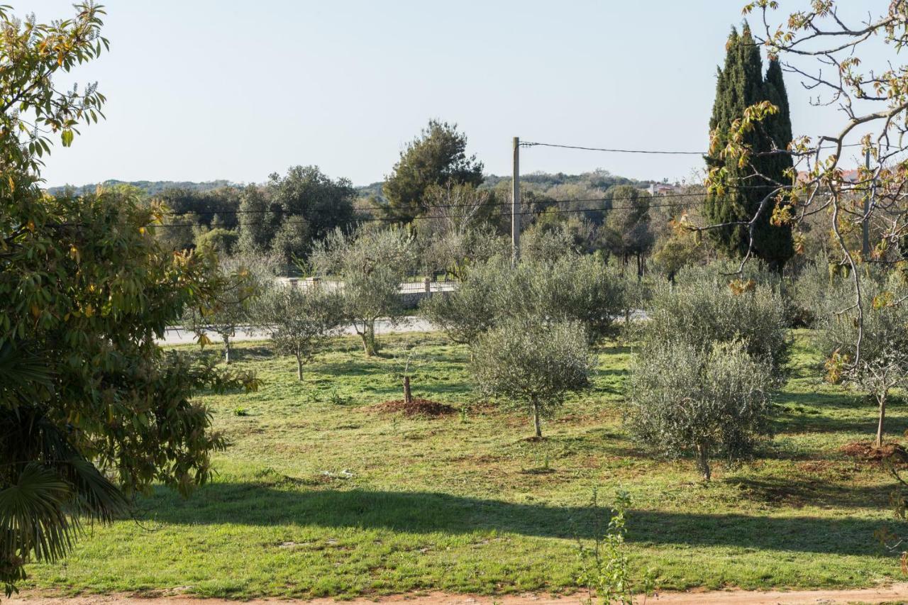 Studio Andrea Rovinj Luaran gambar